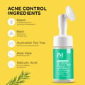 ZM (Zayn & MYZA) - Tea Tree & Salicylic Acid Foaming Face Wash (100 ML)