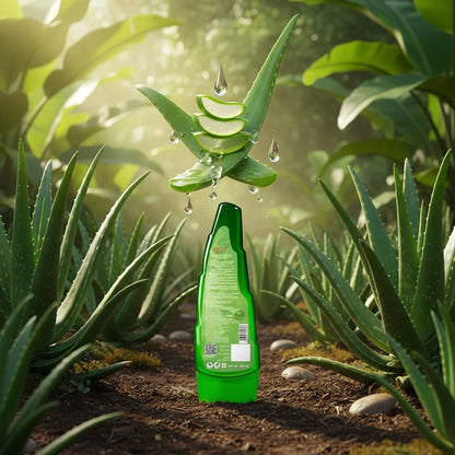 WOW Skin Science 99% Pure Aloe Vera Gel for Face, Skin & Hair - 250ml | Ultimate Gel For Glowing Skin | For Both Men and Women